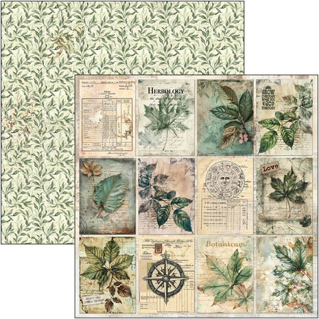 Ciao Bella Cabinet of Curiosities 12x12 Inch Paper Pad (12pcs) (CBPM085)