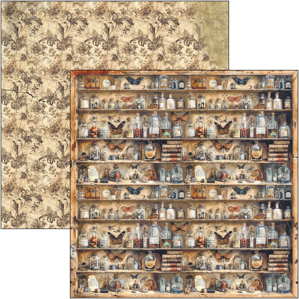 Ciao Bella Cabinet of Curiosities 12x12 Inch Paper Pad (12pcs) (CBPM085)