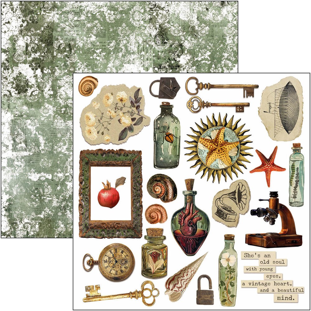 Ciao Bella Cabinet of Curiosities 6x6 Inch Fussy Cut Pad (24pcs) (CBQE085) Ciao Bella Cabinet of Curiosities 6x6 Inch Fussy Cut Pad (24pcs) (CBQE085)