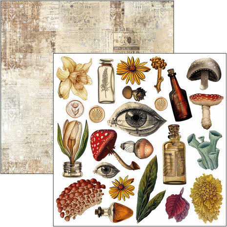 Ciao Bella Cabinet of Curiosities 6x6 Inch Fussy Cut Pad (24pcs) (CBQE085) Ciao Bella Cabinet of Curiosities 6x6 Inch Fussy Cut Pad (24pcs) (CBQE085)