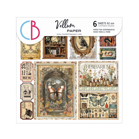 Ciao Bella Cabinet of Curiosities 6x6 Inch Vellum Fussy Cut (6pcs) (CBVQ024)