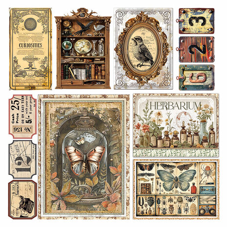 Ciao Bella Cabinet of Curiosities 6x6 Inch Vellum Fussy Cut (6pcs) (CBVQ024)