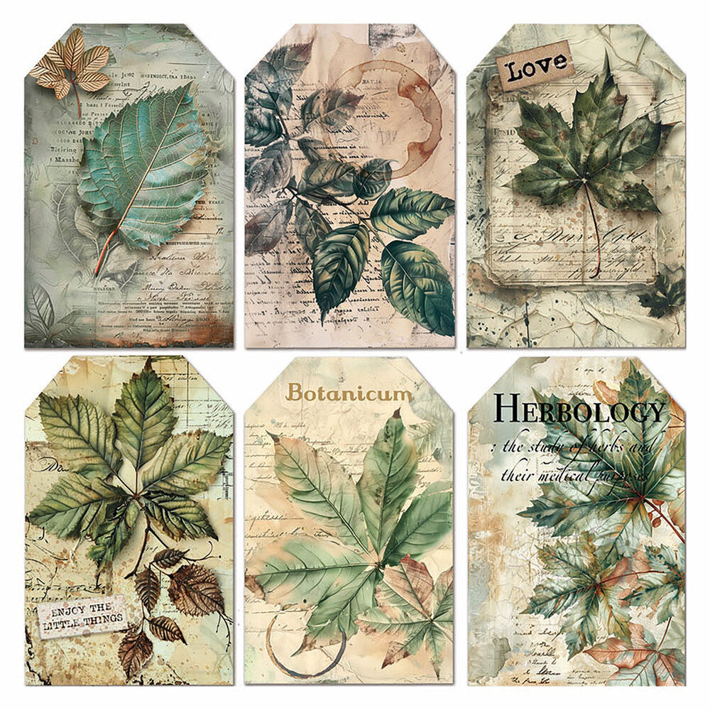 Ciao Bella Cabinet of Curiosities 6x6 Inch Vellum Fussy Cut (6pcs) (CBVQ024)