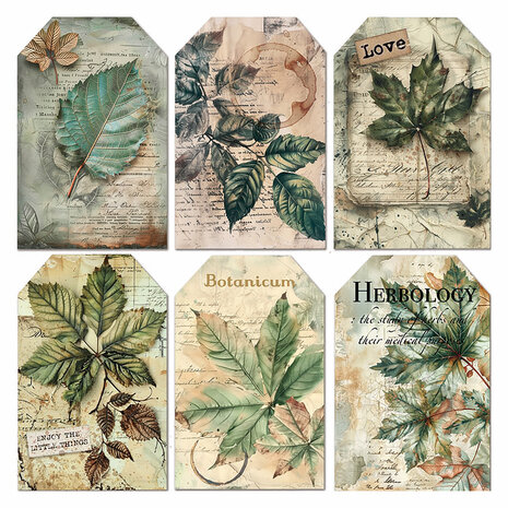 Ciao Bella Cabinet of Curiosities 6x6 Inch Vellum Fussy Cut (6pcs) (CBVQ024)