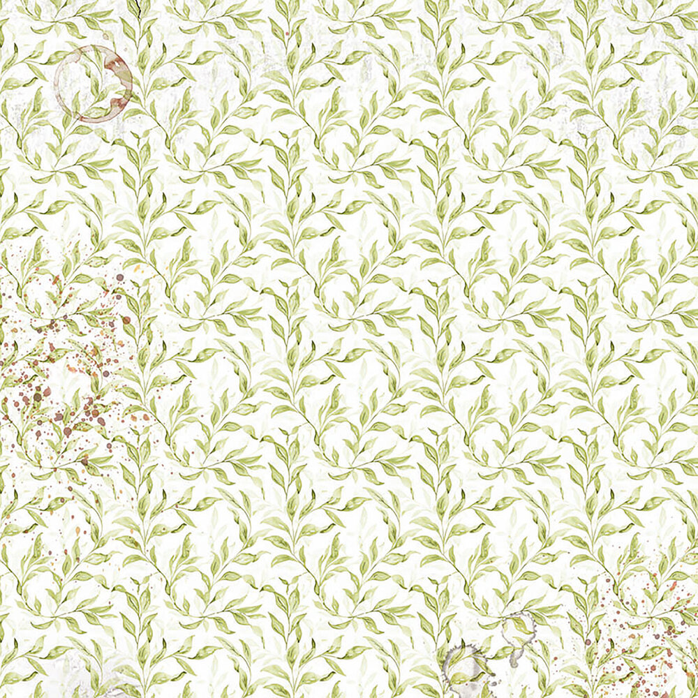 Ciao Bella Cabinet of Curiosities 6x6 Inch Vellum Fussy Cut (6pcs) (CBVQ024)