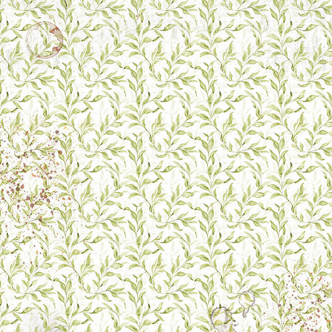 Ciao Bella Cabinet of Curiosities 6x6 Inch Vellum Fussy Cut (6pcs) (CBVQ024)