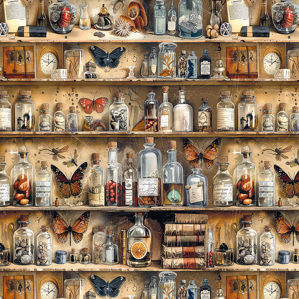 Ciao Bella Cabinet of Curiosities 6x6 Inch Vellum Fussy Cut (6pcs) (CBVQ024)