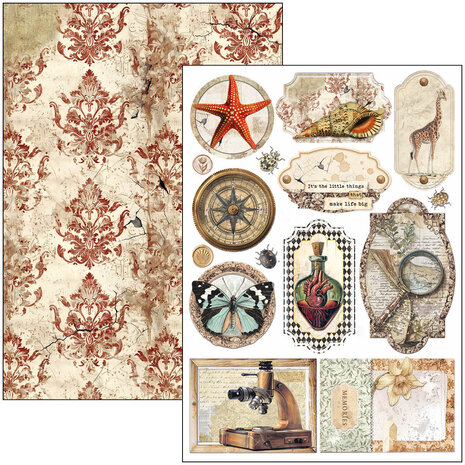 Ciao Bella Cabinet of Curiosities A4 Creative Pad (9pcs) (CBCL085) (DISCONTINUED)