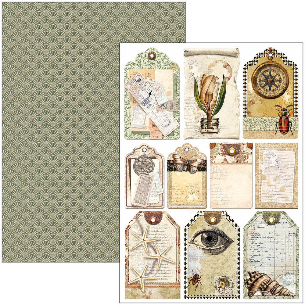 Ciao Bella Cabinet of Curiosities A4 Creative Pad (9pcs) (CBCL085) (DISCONTINUED)