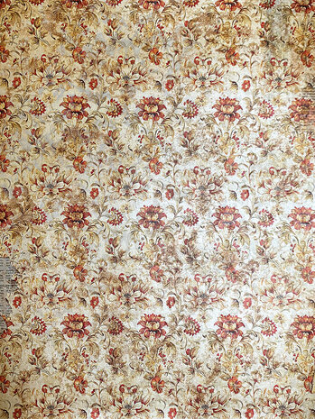 Ciao Bella Cabinet of Curiosities A4 Deluxe Paper Pearl-Copper (5pcs) (CBD019)