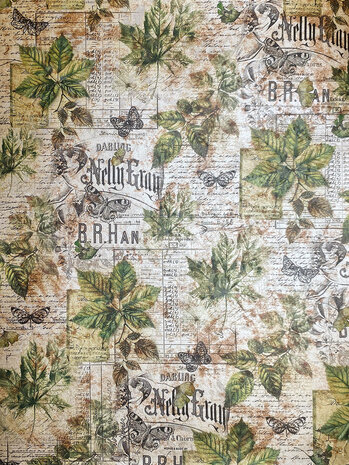 Ciao Bella Cabinet of Curiosities A4 Deluxe Paper Pearl-Copper (5pcs) (CBD019)