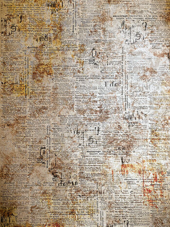 Ciao Bella Cabinet of Curiosities A4 Deluxe Paper Pearl-Copper (5pcs) (CBD019)