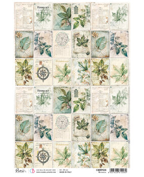 Ciao Bella Cabinet of Curiosities A4 Rice Paper Botanical (5pcs) (CBRP535) Ciao Bella Cabinet of Curiosities A4 Rice Paper Botanical (5pcs) (CBRP535)