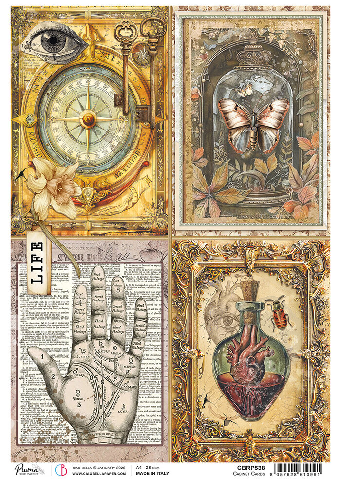 Ciao Bella Cabinet of Curiosities A4 Rice Paper Cabinet Cards (5pcs) (CBRP538)