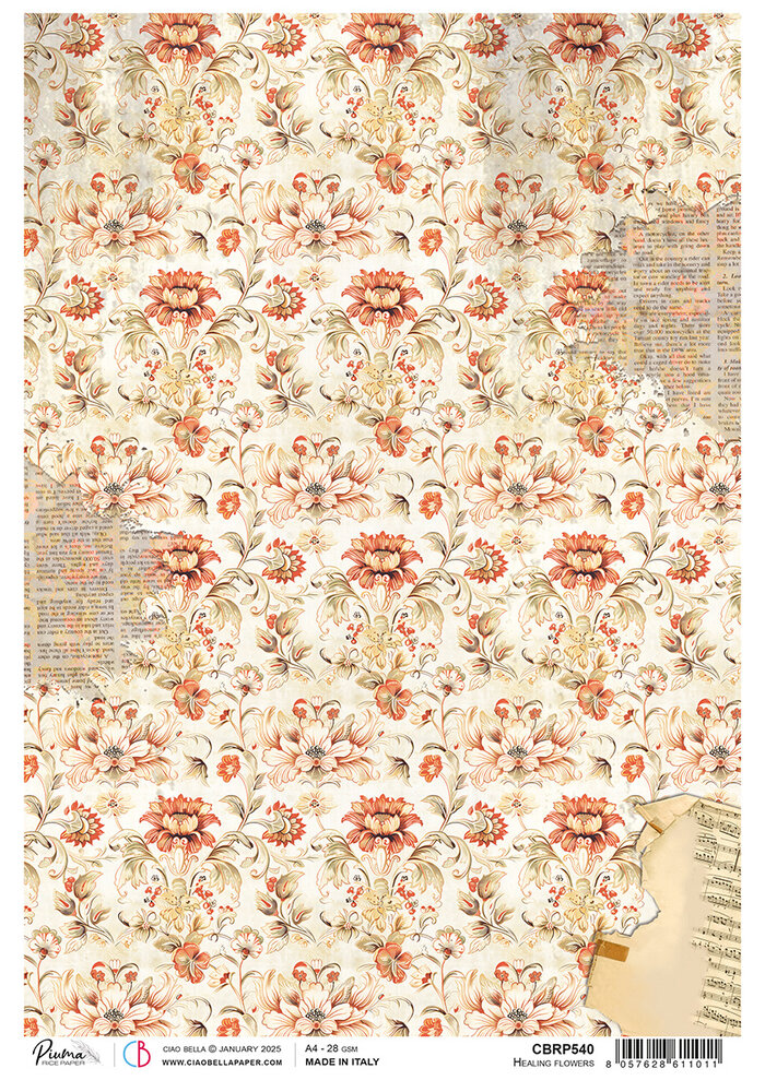 Ciao Bella Cabinet of Curiosities A4 Rice Paper Healing Flowers (5pcs) (CBRP540)