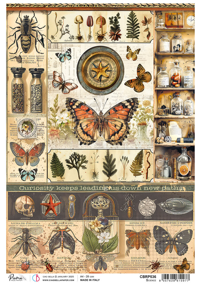 Ciao Bella Cabinet of Curiosities A4 Rice Paper Science (5pcs) (CBRP536)