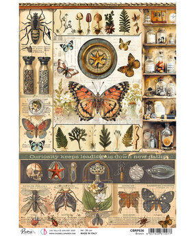 Ciao Bella Cabinet of Curiosities A4 Rice Paper Science (5pcs) (CBRP536) Ciao Bella Cabinet of Curiosities A4 Rice Paper Science (5pcs) (CBRP536)