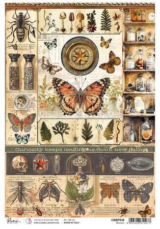 Ciao Bella Cabinet of Curiosities A4 Rice Paper Science (5pcs) (CBRP536)