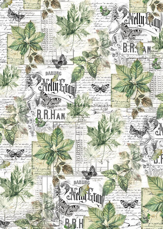 Ciao Bella Cabinet of Curiosities A4 Vellum Paper Patterns (6pcs) (CBV024) Ciao Bella Cabinet of Curiosities A4 Vellum Paper Patterns (6pcs) (CBV024)