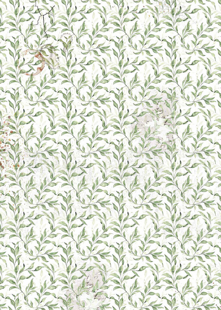 Ciao Bella Cabinet of Curiosities A4 Vellum Paper Patterns (6pcs) (CBV024) Ciao Bella Cabinet of Curiosities A4 Vellum Paper Patterns (6pcs) (CBV024)