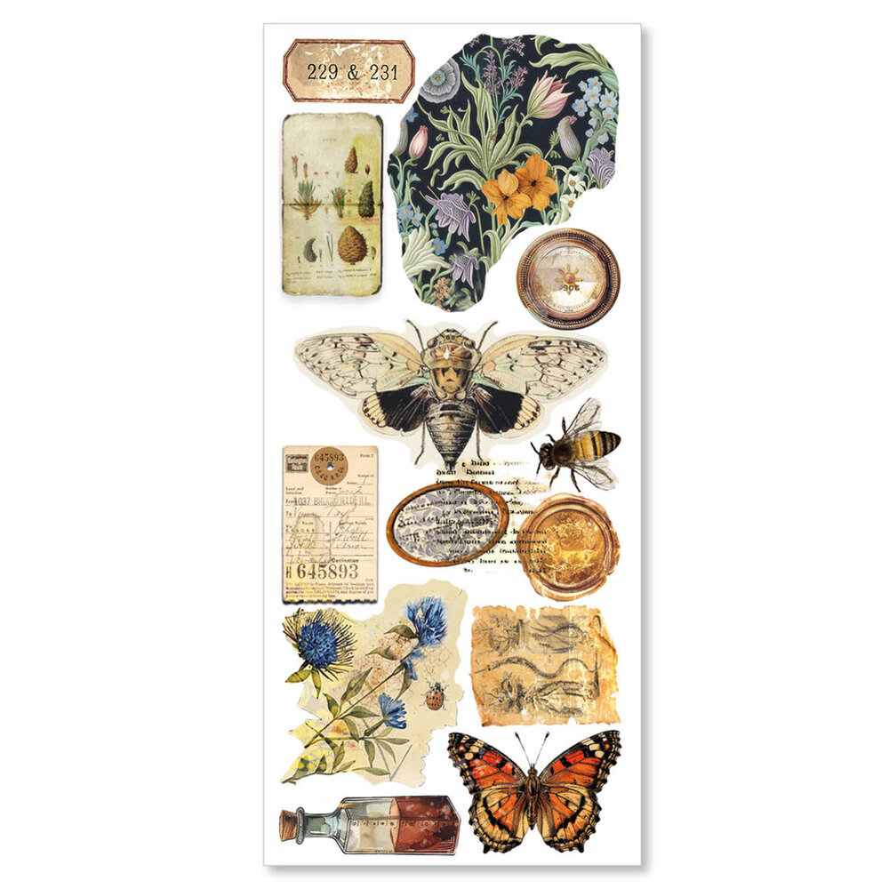 Ciao Bella Cabinet of Curiosities Transparent Adhesive Sheets (5pcs) (CBI001)