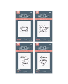 Spellbinders Copperplate On Your Wedding Day Sentiments BetterPress Bundle (BD-0935) Spellbinders Copperplate On Your Wedding Day Sentiments BetterPress Bundle (BD-0935)