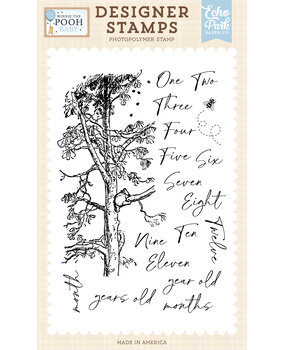 Echo Park Winnie The Pooh Baby Designer Stamps First Year Milestones (WPB442046)