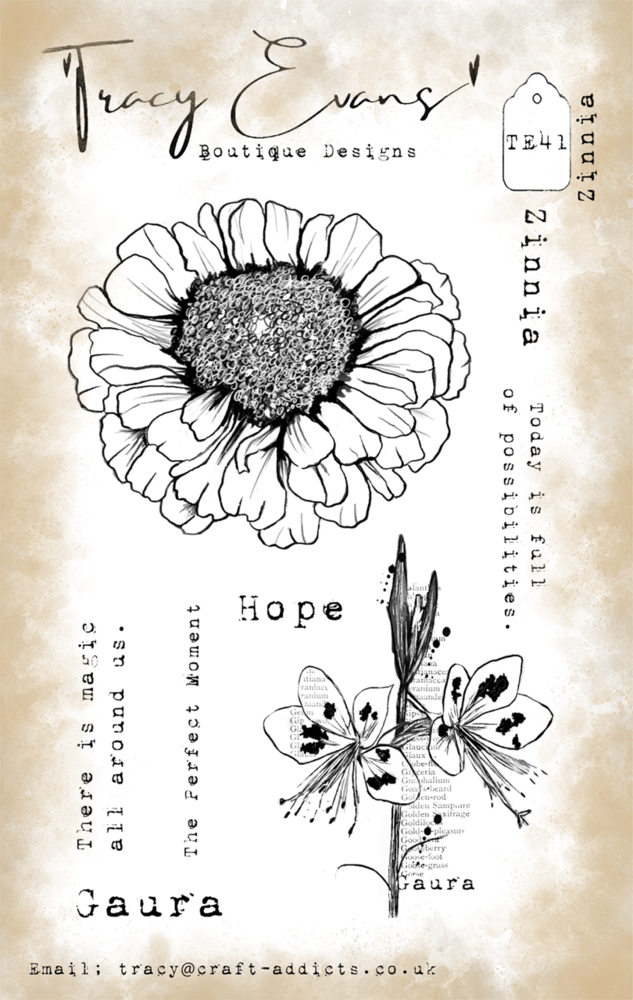 Tracy Evans Zinnia A6 Stamp (TE041)