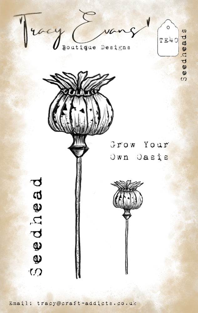 Tracy Evans Seedheads A7 Stamp (TE040)