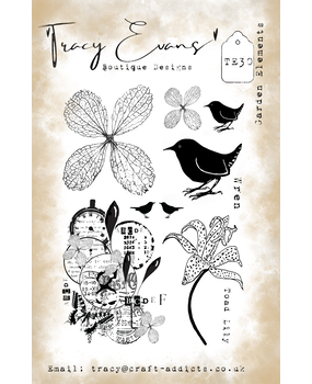Tracy Evans Garden Elements A5 Stamp (TE030)