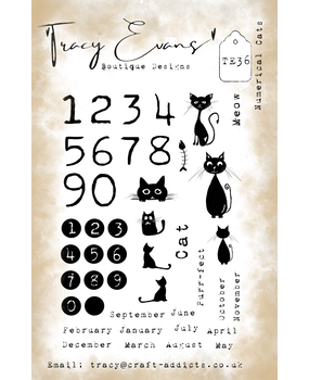 Tracy Evans Numerical Cats A5 Stamp (TE036)