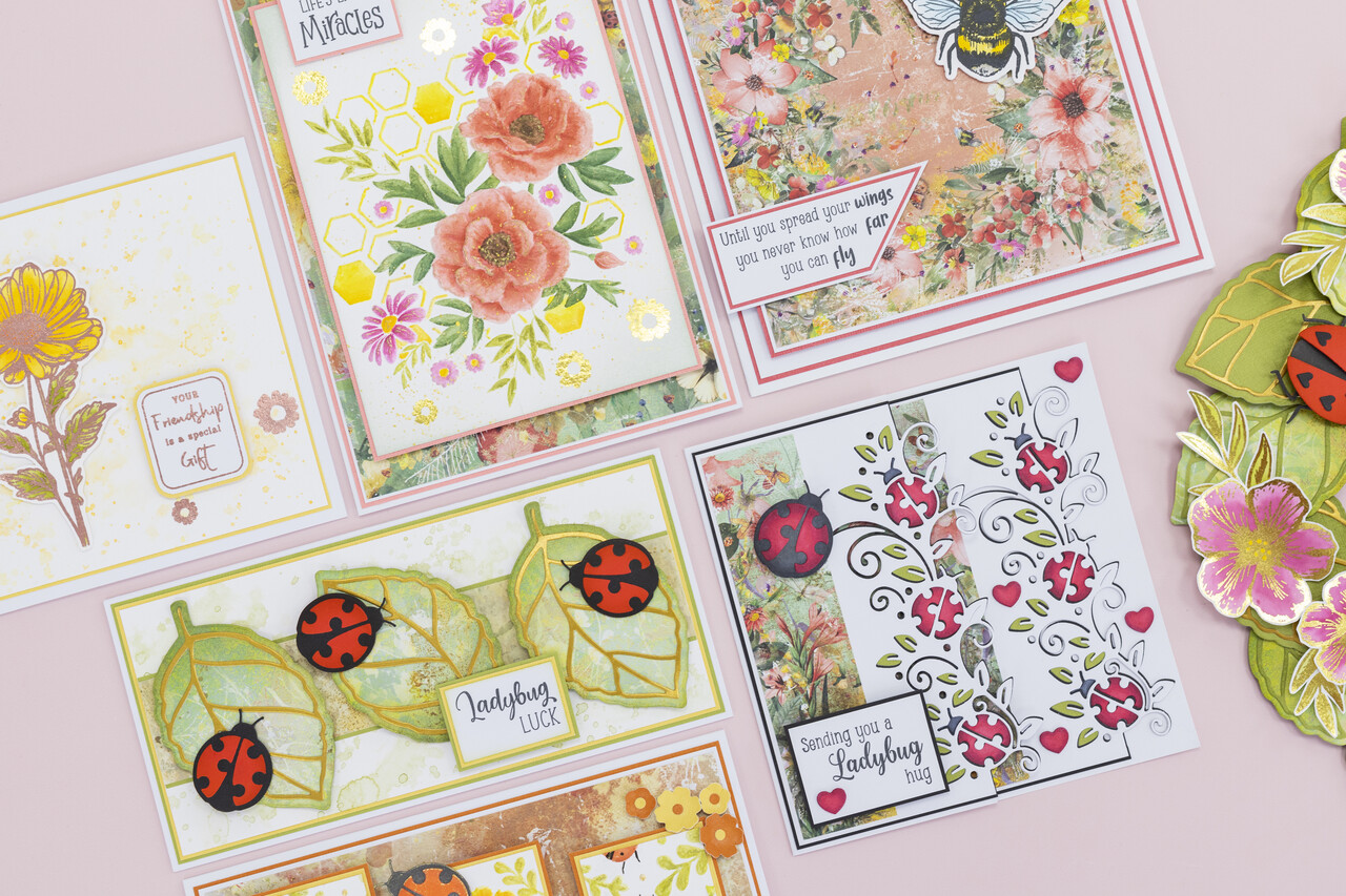 Crafter's Companion Flora & Fauna Clear Acrylic Stamp - Ladybug Hugs (NG-FF-CA-ST-LAHU)