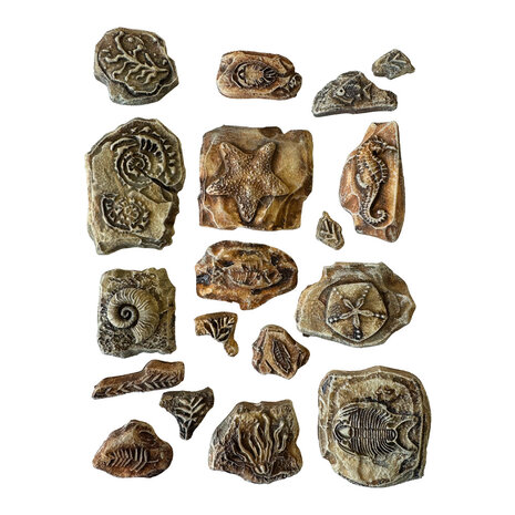 Stamperia Silent Sea A5 Soft Mould Fossils (K3PTA5670)
