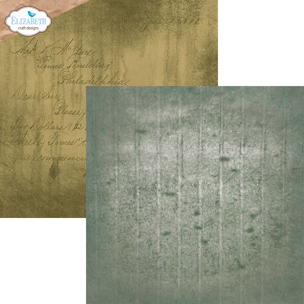 Elizabeth Craft Designs Mr. & Mrs. 12x12 Inch Patterned Cardstock Paper Backgrounds Volume 1 (C029)