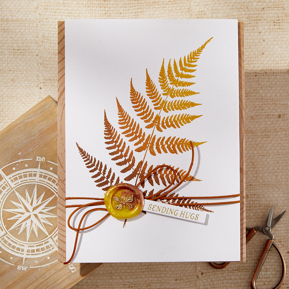 Spellbinders Lush Ferns BetterPress Plate (BP-228) (DISCONTINUED) Spellbinders Lush Ferns BetterPress Plate (BP-228) (DISCONTINUED)
