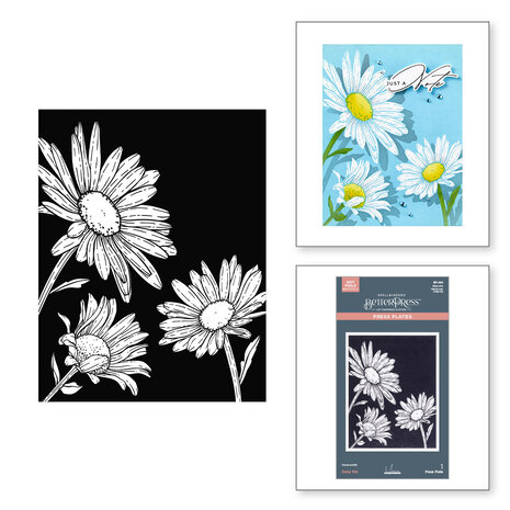 Spellbinders Daisy Trio BetterPress Plates (BP-299)