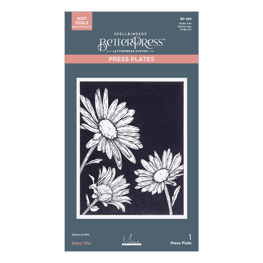 Spellbinders Daisy Trio BetterPress Plates (BP-299)