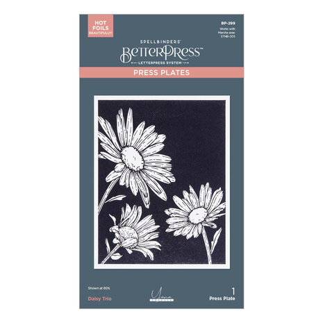Spellbinders Daisy Trio BetterPress Plates (BP-299)