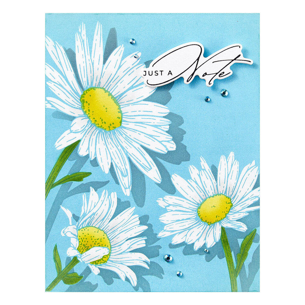 Spellbinders Daisy Trio BetterPress Plates (BP-299)