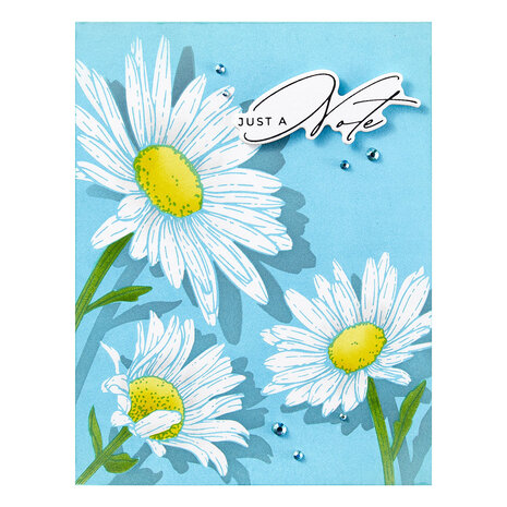 Spellbinders Daisy Trio BetterPress Plates (BP-299)