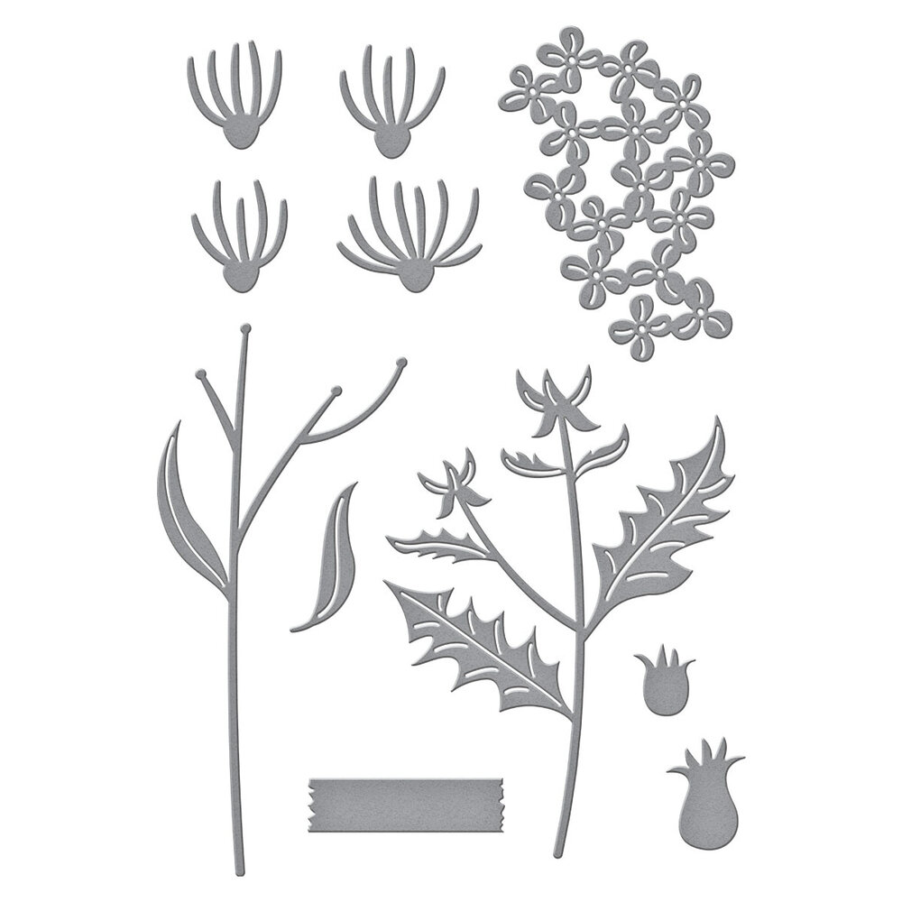 Spellbinders Field Notes Wildflowers Etched Dies (S4-1369)