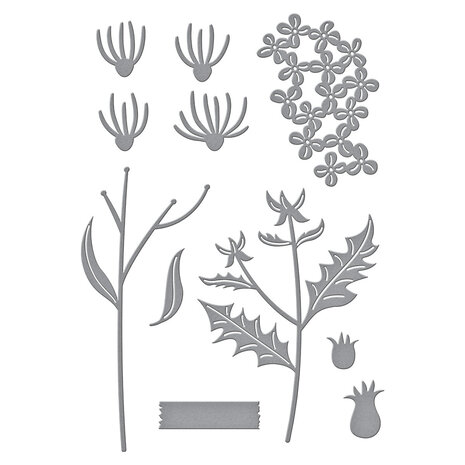 Spellbinders Field Notes Wildflowers Etched Dies (S4-1369)