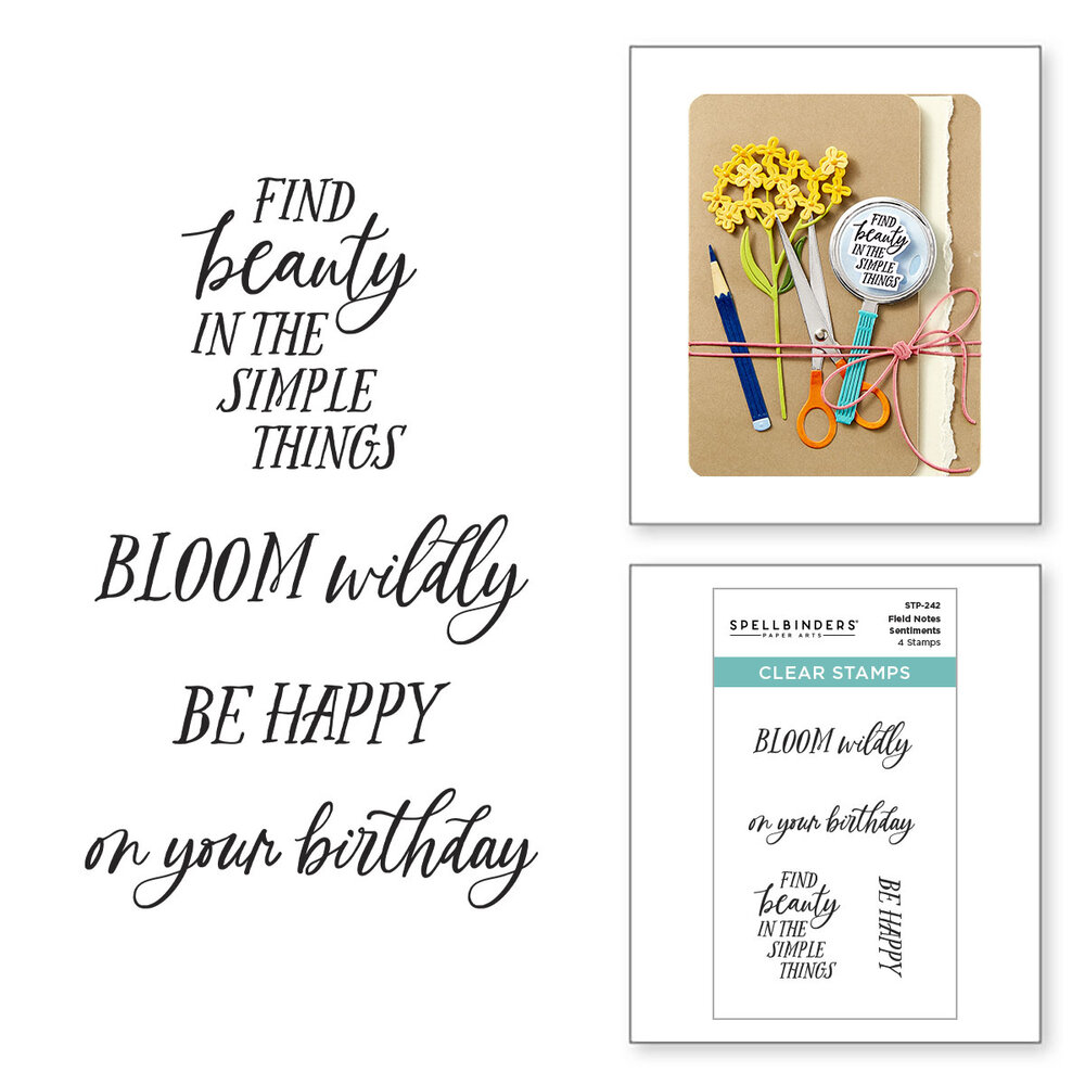 Spellbinders Field Notes Sentiments Clear Stamp Set (STP-242) Spellbinders Field Notes Sentiments Clear Stamp Set (STP-242)