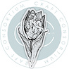 Craft Consortium Fairies A6 Clear Photopolymer Stamps Tulip (CCLGSTMP005) Craft Consortium Fairies A6 Clear Photopolymer Stamps Tulip (CCLGSTMP005)