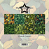 Forest Leaves 12x12 Inch Paper Pad (PF733)