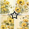 Paper Favourites Buttercup A6 Paper Pad (PFA573) Paper Favourites Buttercup A6 Paper Pad (PFA573)