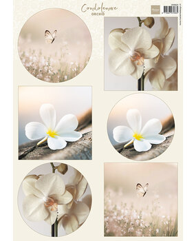 Marianne Design Decoupage Condoleance Orchid (VK9624)