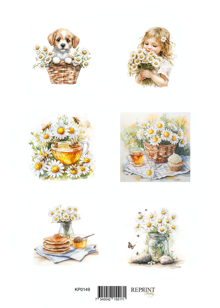 Reprint Summer A4 Cutouts (KPA4109)