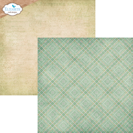 Elizabeth Craft Designs Spring Blossom 12x12 Inch Patterned Cardstock Paper Spring Blossom (C031)