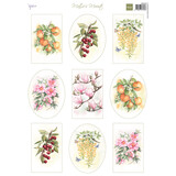 Marianne Design Decoupage Sheet A4 Mattie's Mooiste Fruit & Flowers (MB0222) (DISCONTINUED)
